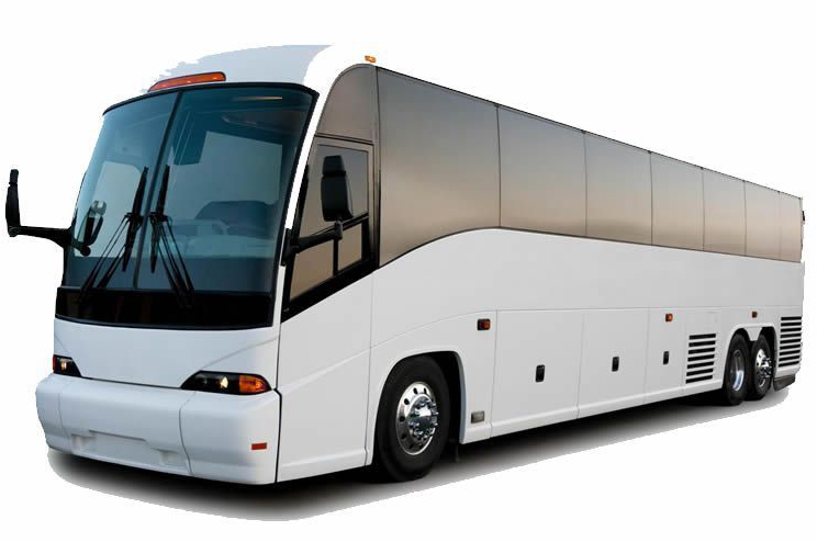 Executive Bus Fairfax